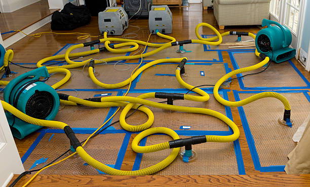 Professional Flood Damage Restoration technician working in Panama, NE